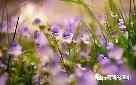 再见了巢湖，不舍的“故乡”——回忆青春时光的岁月（江莉倩）