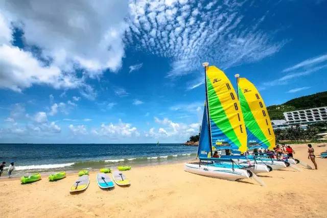 如果我多一张船票你会走吗,如果我多一张船票你会跟我走吗