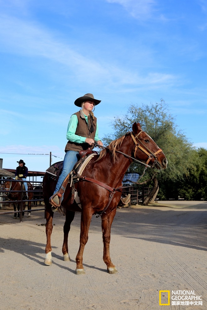 图森仙人掌,图森地理位置