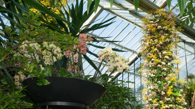 英国伦敦旅游购物攻略,伦敦旅游攻略相关推荐