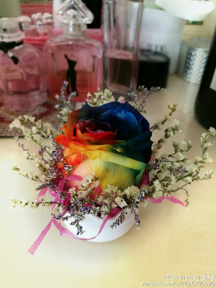 人美,竟连作品也妙致毫巅!手工永生花见证爱情,树脂画几乎逼真