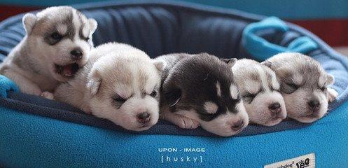 越坐着越困是怎么回事,为什么坐着睡越睡越累