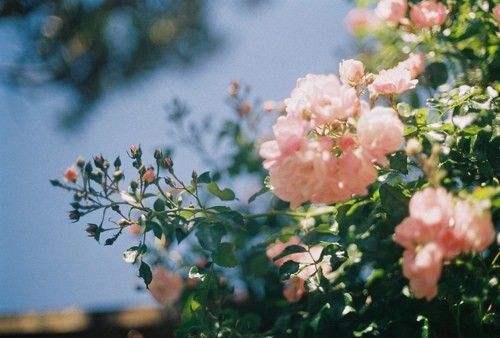 只是回忆的人太可怜,回忆里的人到底能不能再去见