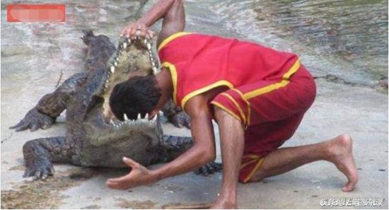 诺基亚被坑,诺基亚是怎么被摧毁的