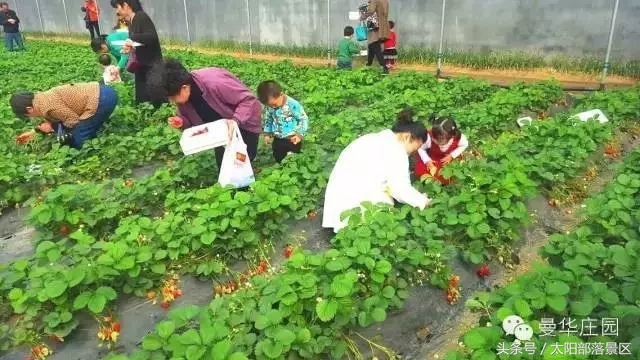 平安喜乐过大年大吉大利,安泰过年