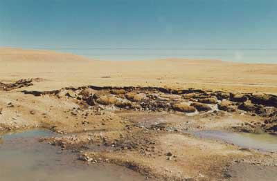 冻土层长成什么样,冰下面的地下土长什么样