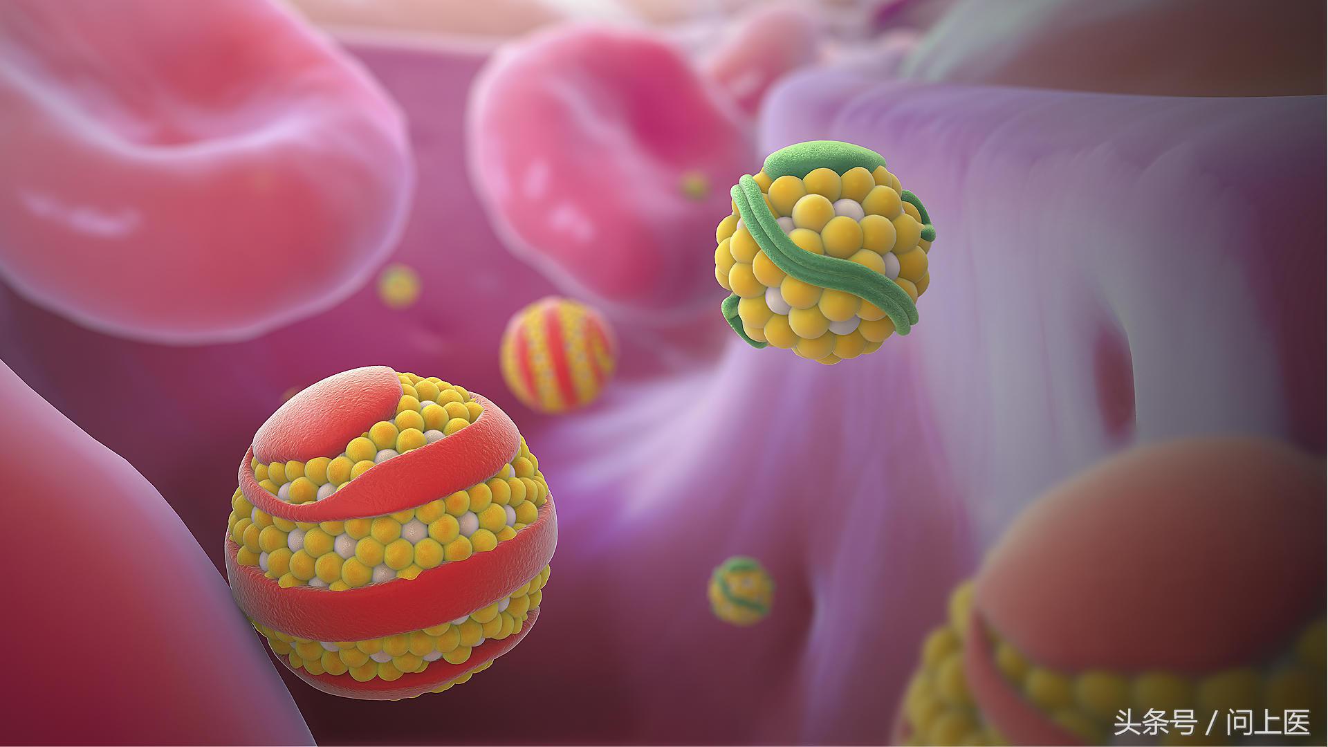 抱子甘蓝迷你小包菜3月能种吗,抱子甘蓝跟包菜口感一样吗