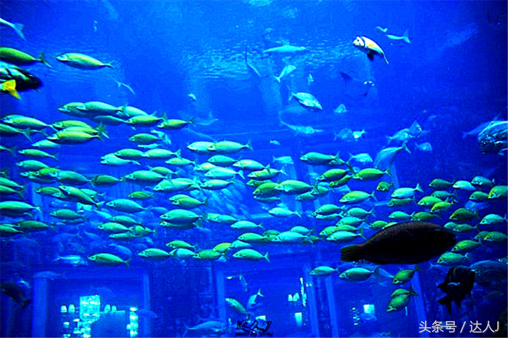 沙漠上的超级绿洲迪拜,迪拜沙漠上的奢华之都