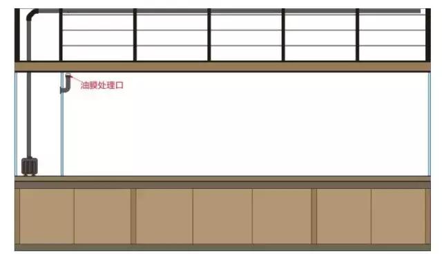 养罗汉鱼侧滤和上滤哪个效果好,双边侧滤鱼缸怎么过滤