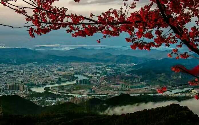 看完这些摄影作品点评，你的摄影技能会有大幅提升