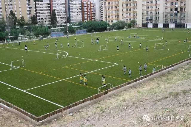 中国新疆足球青训现状,青训的重要性和意义