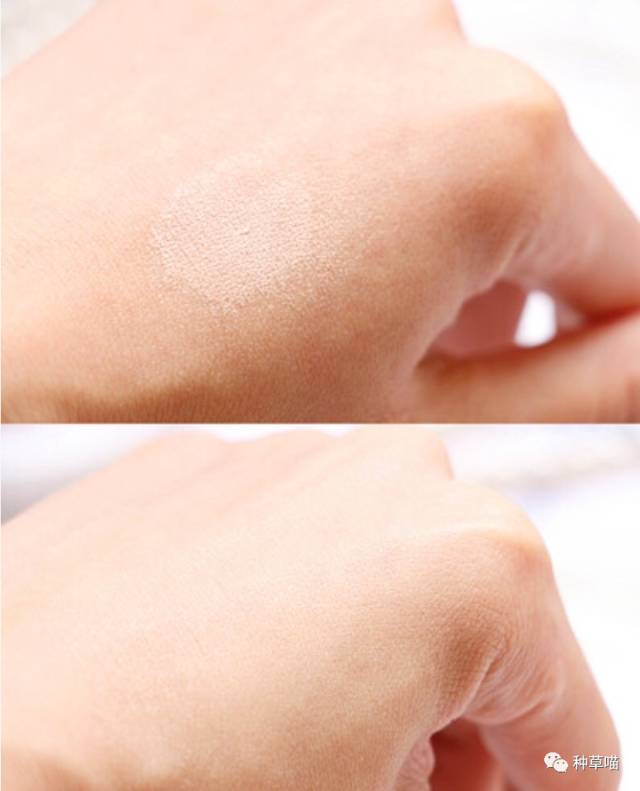 5款又大又好用气垫,五款气垫