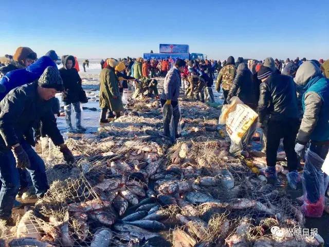 查干湖冬天冰多厚,5月的查干湖是什么样的