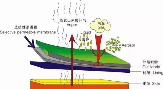 如何选择合适的滑雪服,滑雪服省钱买法