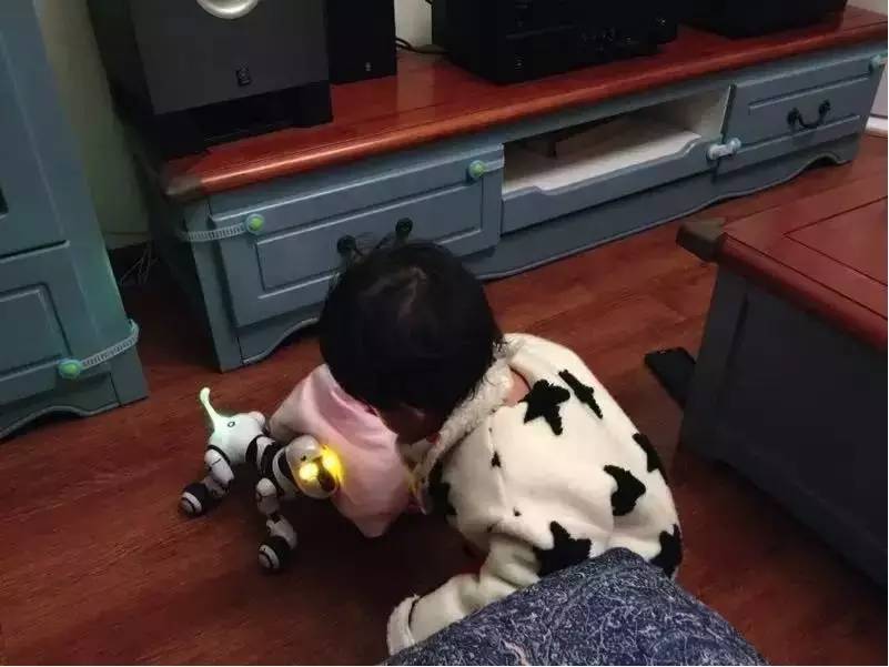 读者来稿丨抱着邦尼兔睡觉、拎着定型枕逛街、在公园里给土豆推秋千……小朋友的安抚物大集合！