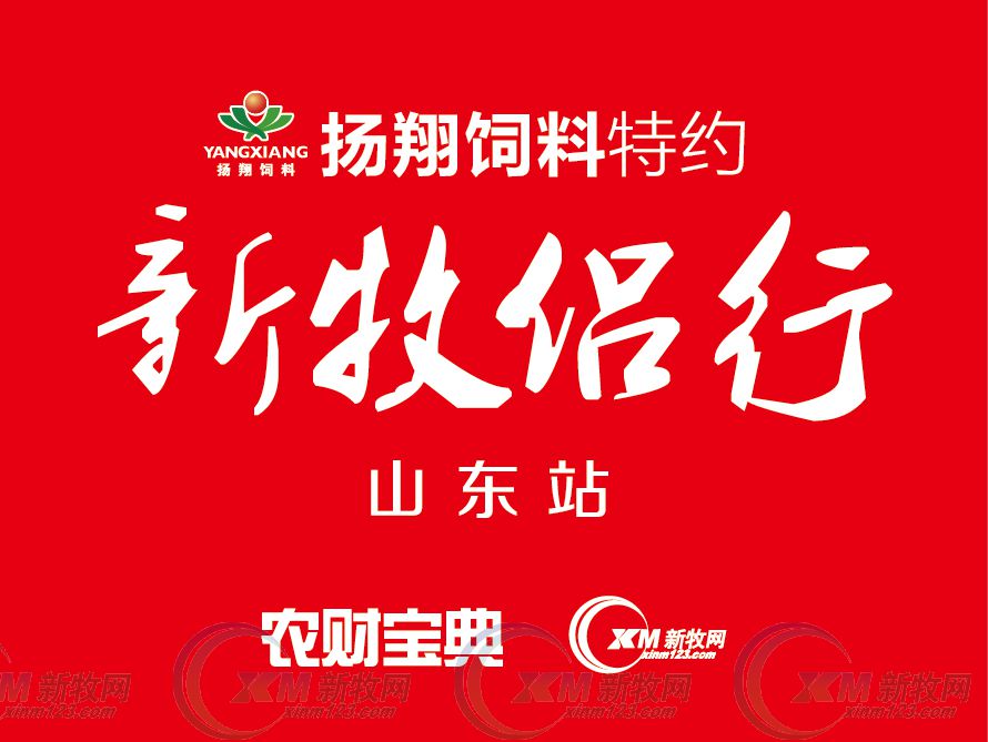 山东省十大养殖企业,山东养猪企业排名寿光