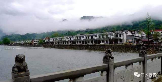 追赶超越促西乡“蝶变”