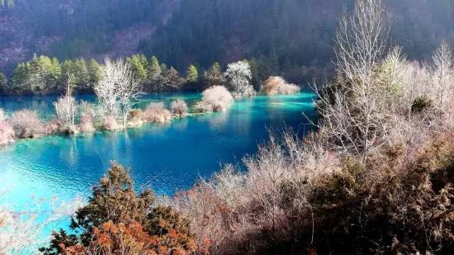 敢看吗？在北京你的工资只配样过年！