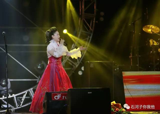 新疆石河子最新事件,石河子近期新闻事件