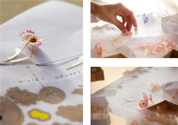 missdior橘调,missdior为啥受欢迎