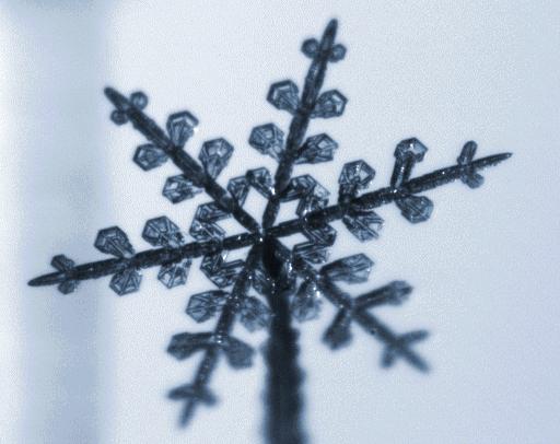 明后天有大范围雨雪吗,明后天有大风降雪吗