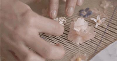 missdior橘调,missdior为啥受欢迎