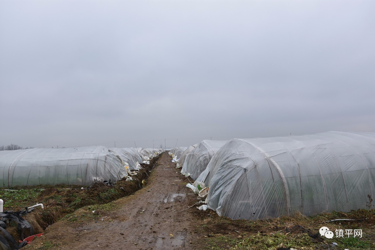 走进侯集，体会咱农民身边的些许变化