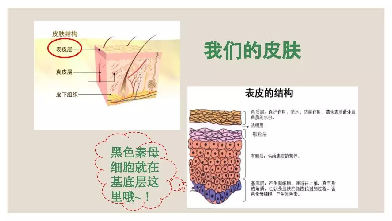 新人报到|想比范冰冰还要白?美白过程你一定要注意这些