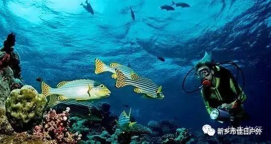 越南旅游第二站美奈,情迷越南