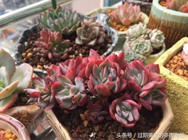 入坑一年小说,入坑一年