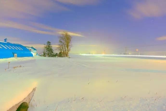 微观茶市丨古茶树安装GPS定位意义何在？