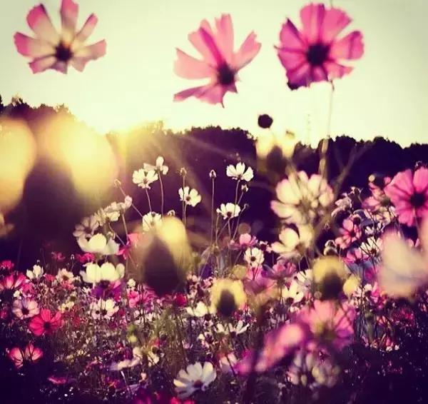 夫妻都知道的婚姻宝典,夫妻都应该知道的婚姻宝典