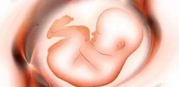 解答孕妈咪们对胎心胎动最关心的20个小问题~