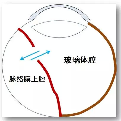 飞行员小刘与人发生口角，左眼挨了一拳，眼球可能会萎缩，怎么办