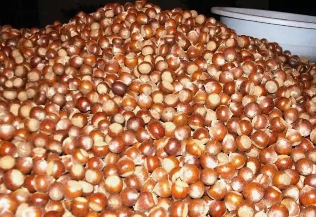 福建汀州土特产,福建零食特产有哪些