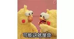 淘宝白富美,淘宝网红店揭秘