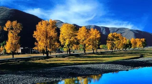 成都到云南春节自驾攻略,春节前自驾去成都过年