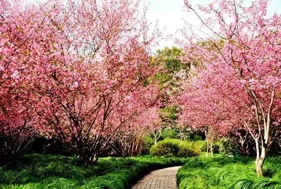 中山公园前生,景山公园的玄机