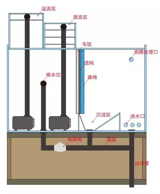 养罗汉鱼侧滤和上滤哪个效果好,双边侧滤鱼缸怎么过滤