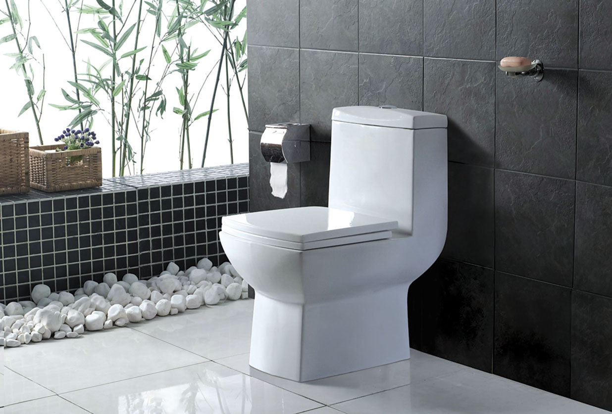 常见马桶知识,一次性教你解决20个常见马桶