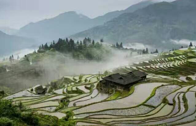 看完这些摄影作品点评，你的摄影技能会有大幅提升