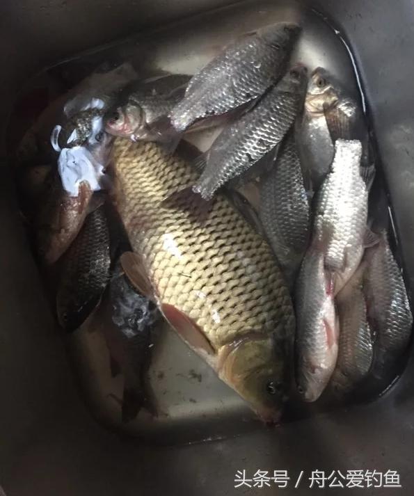 今年五福为什么那么多,今年五福哪个福最少