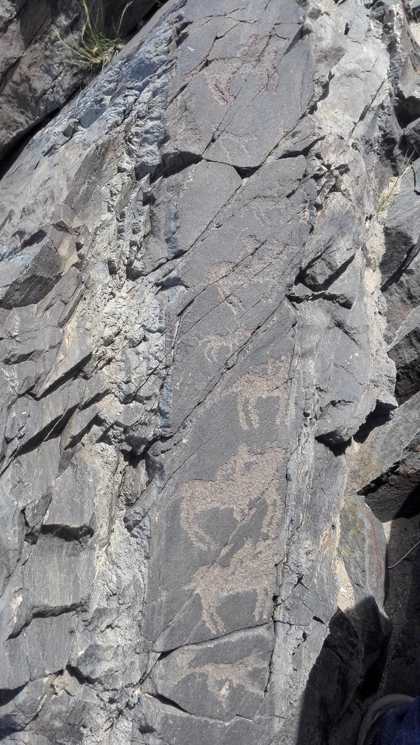 地质断层图,断层地质案例