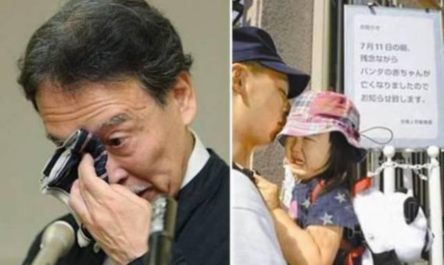 为求得一只熊猫的抚养权，英美荷法等国家连尊严都不要了