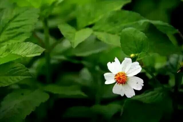 看完这些摄影作品点评，你的摄影技能会有大幅提升