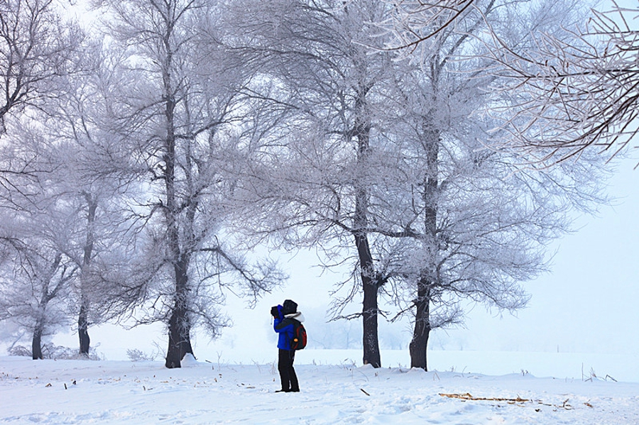吉林雾凇岛的好看的雾凇倒影图片,吉林雾凇岛和雪谷雾凇岭
