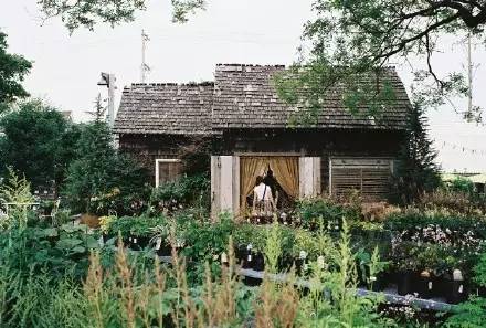 微观茶市丨古茶树安装GPS定位意义何在？