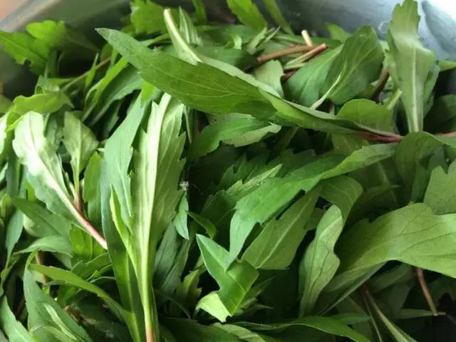 乳腺增生民间小偏方,乳腺纤维瘤食疗小偏方