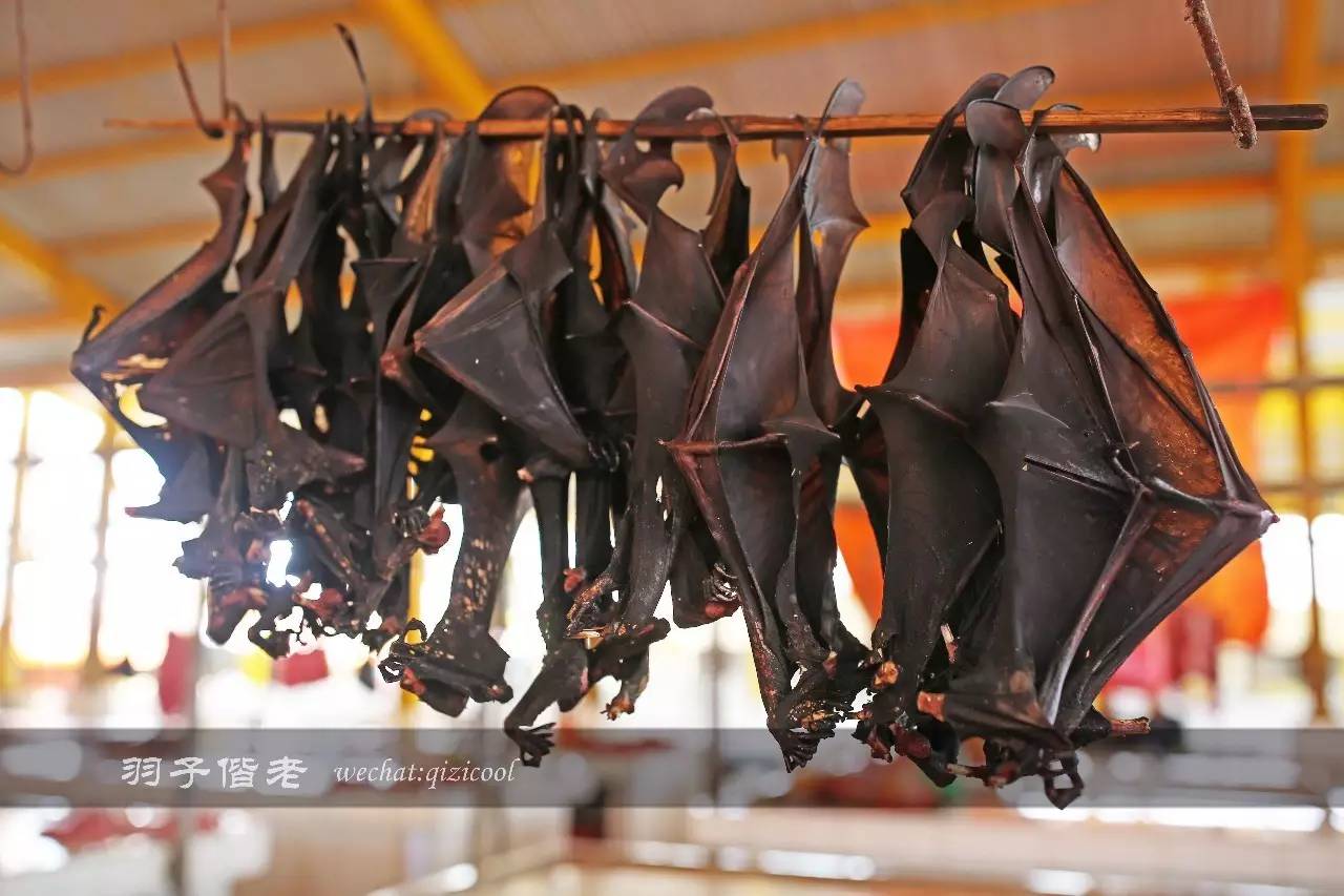 印尼美娜多游玩攻略,美娜多旅行攻略