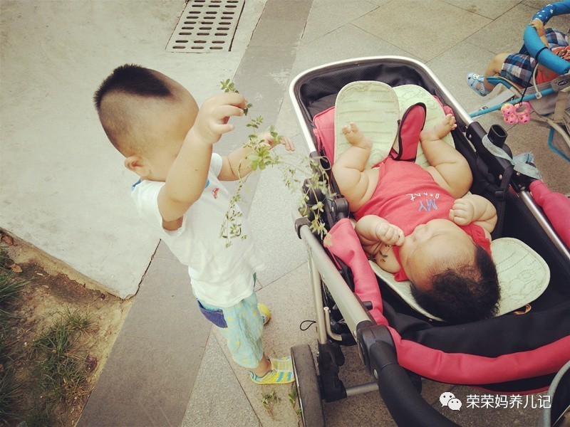 过年怎能不虐狗,逗比兄妹的年终总结